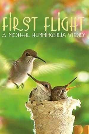 First Flight: A Mother Hummingbird's Story watch First Flight: A Mother Hummingbird's Story