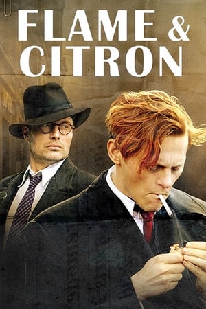 Flame & Citron watch Flame & Citron