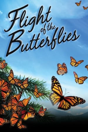 Flight of the Butterflies watch Flight of the Butterflies