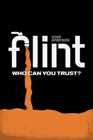 Flint watch Flint