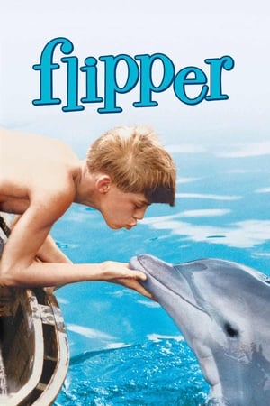 watch Flipper