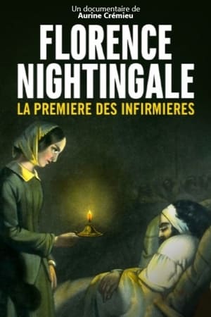 Florence Nightingale: Nursing Pioneer watch Florence Nightingale: Nursing Pioneer