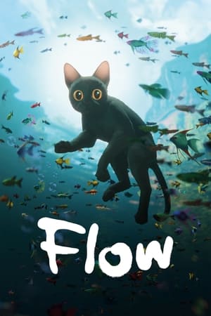 Flow watch Flow