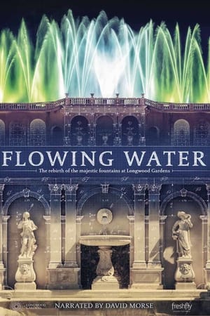 Flowing Water watch Flowing Water