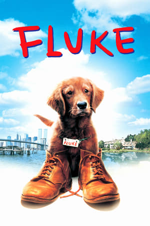 Fluke watch Fluke