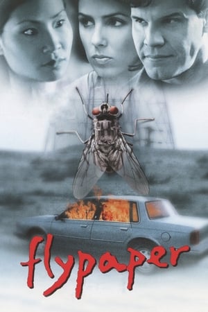 Flypaper watch Flypaper