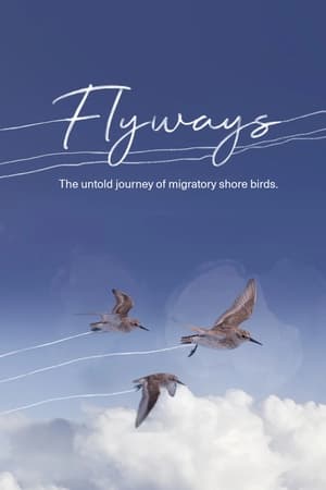 Flyways watch Flyways