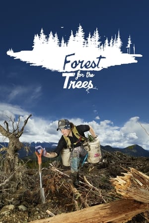 Forest for the Trees watch Forest for the Trees