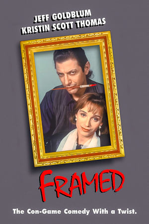 Framed watch Framed