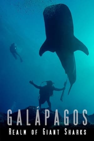 Galapagos Realm Of Giant Sharks watch Galapagos Realm Of Giant Sharks