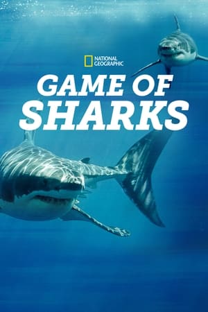 Game of Sharks watch Game of Sharks