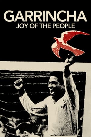 watch Garrincha: Joy of the People