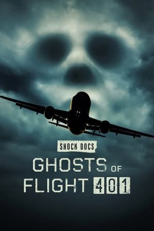 Ghosts of Flight 401 watch Ghosts of Flight 401