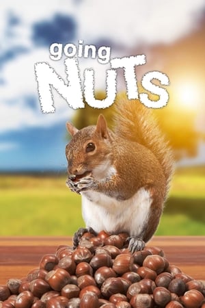 Going Nuts: Tales from the Squirrel World watch Going Nuts: Tales from the Squirrel World