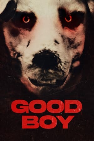 Good Boy watch Good Boy