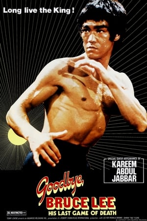 Goodbye Bruce Lee: His Last Game of Death watch Goodbye Bruce Lee: His Last Game of Death