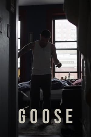 watch Goose