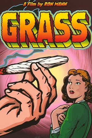 Grass watch Grass