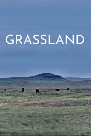 watch Grassland