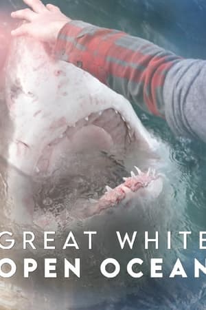 Great White Open Ocean watch Great White Open Ocean