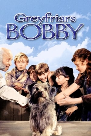 watch Greyfriars Bobby