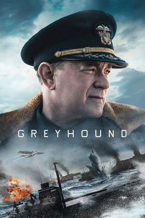 Greyhound watch Greyhound
