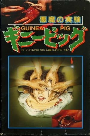 watch Guinea Pig: Devil's Experiment