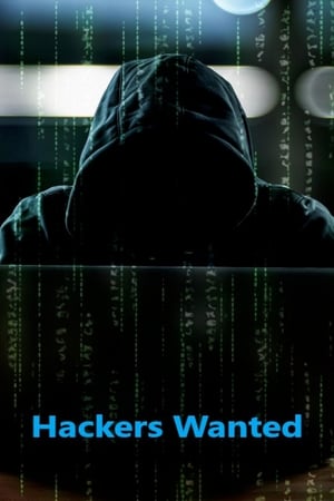watch Hackers Wanted