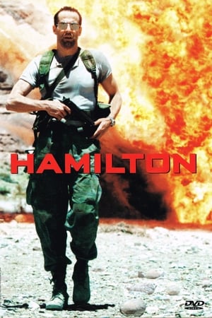 Hamilton watch Hamilton