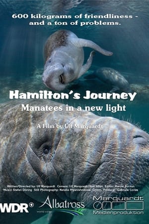 Hamilton's Journey - Manatees in a New Light watch Hamilton's Journey - Manatees in a New Light