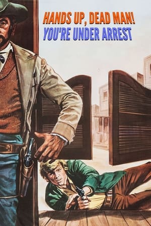 watch Hands Up, Dead Man! You're Under Arrest