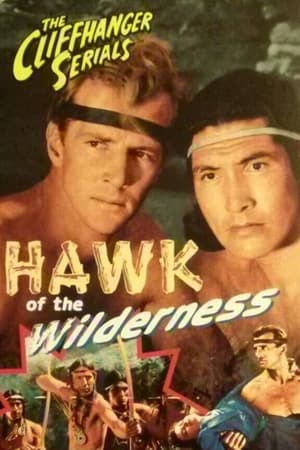 watch Hawk of the Wilderness