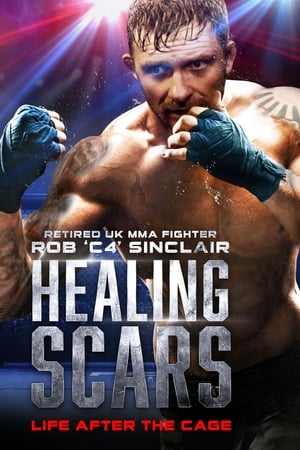 Healing Scars watch Healing Scars
