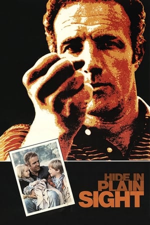 Hide in Plain Sight watch Hide in Plain Sight