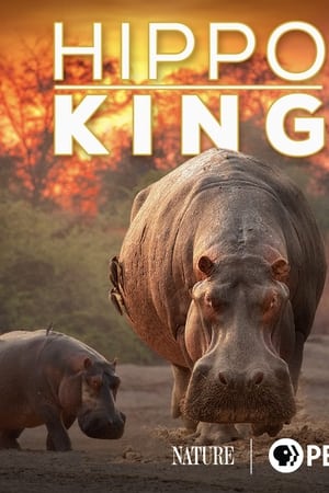 Hippo King watch Hippo King