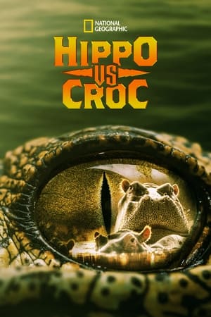Hippo vs Croc watch Hippo vs Croc