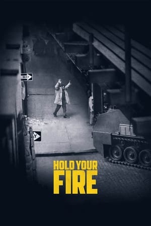 watch Hold Your Fire