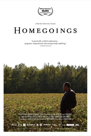 Homegoings watch Homegoings