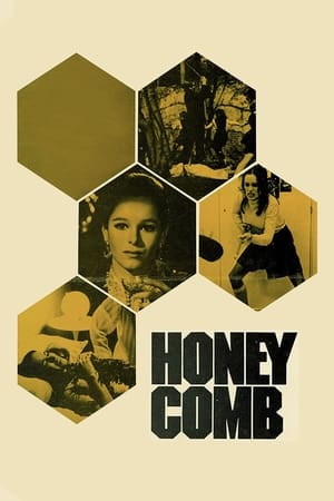 Honeycomb watch Honeycomb