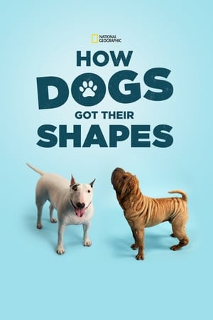 How Dogs Got Their Shapes watch How Dogs Got Their Shapes
