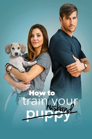 How to Train Your Husband watch How to Train Your Husband