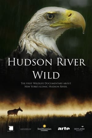 Hudson River Wild watch Hudson River Wild