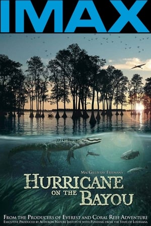 Hurricane on the Bayou watch Hurricane on the Bayou