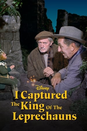 watch I Captured the King of the Leprechauns
