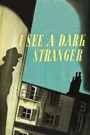 watch I See a Dark Stranger