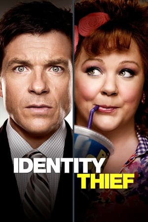 Identity Thief watch Identity Thief