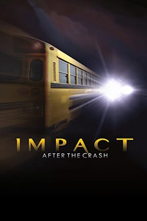 Impact After the Crash watch Impact After the Crash