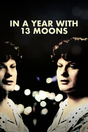 In a Year with 13 Moons watch In a Year with 13 Moons