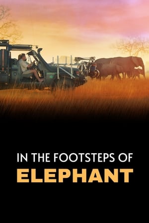 In the Footsteps of Elephant watch In the Footsteps of Elephant