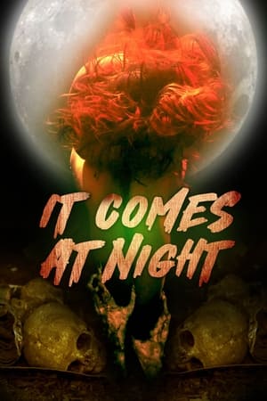 In the Light of the Night watch In the Light of the Night